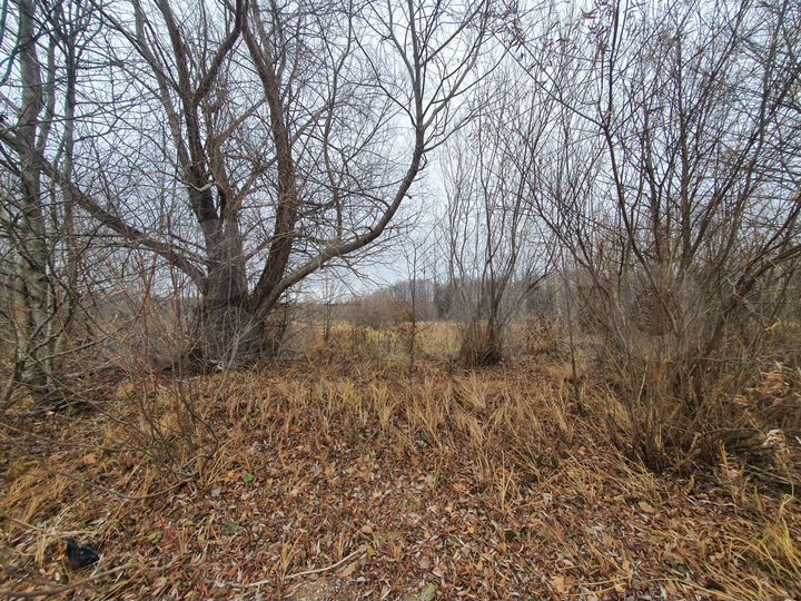 Участок 4 га (СНТ, ДНП)