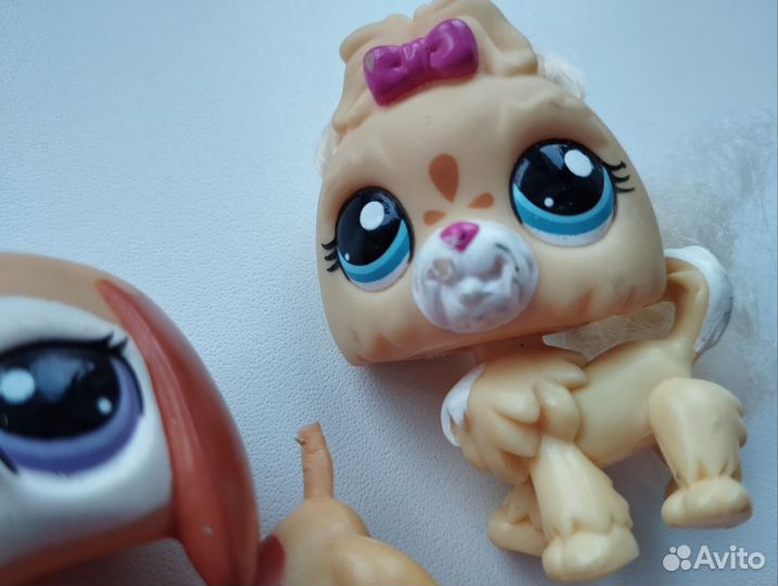 Littlest Pet Shop
