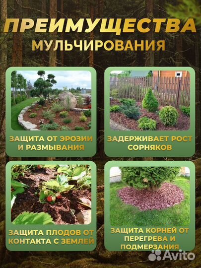 Кора сосны и лиственницы. Фракции: 0-1, 1-4, 4-10