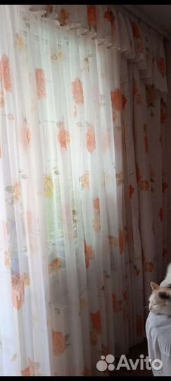 Шторы, Тюль, Ламбрекен