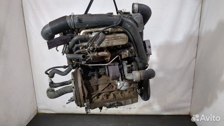 Двигатель Volkswagen Golf Plus BXE 1.9 Дизель, 2006