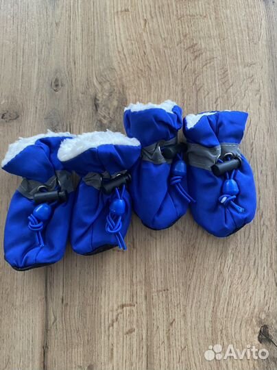 Обувь для собак