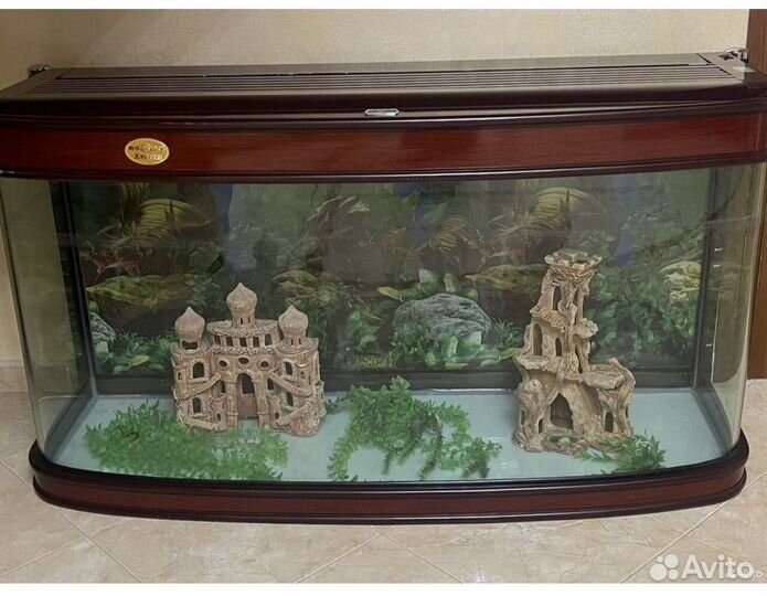 Аквариум