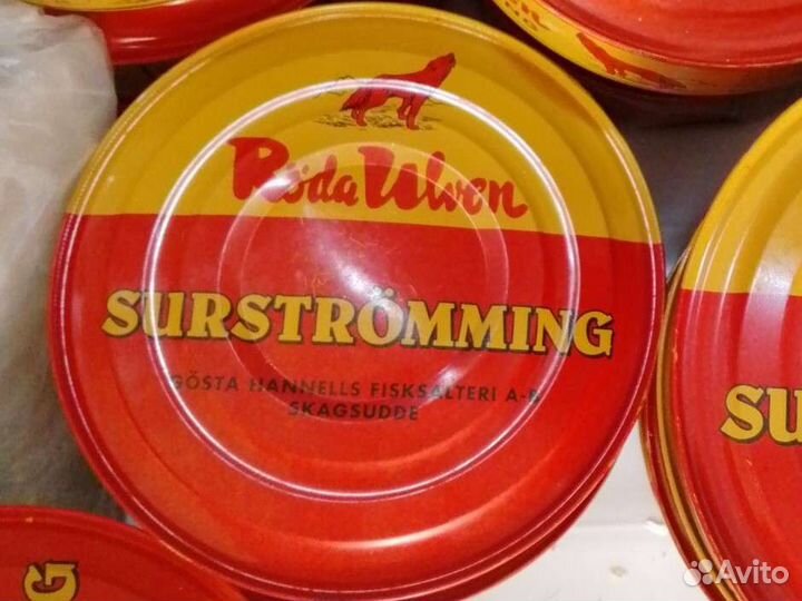 Surstromming Сюрстремминг