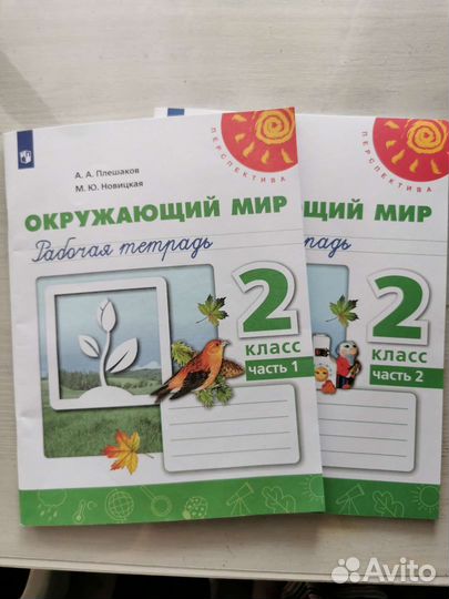 Рабочая тетрадь 2 класс