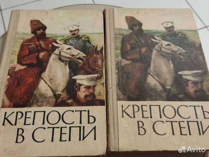 Крепость в степи