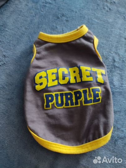 Майка для котят или мелких пород собак