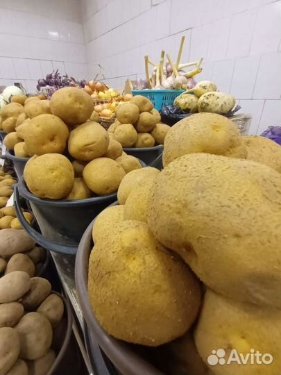 Картофель свежий