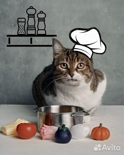 Кошка Малинка хочет домой