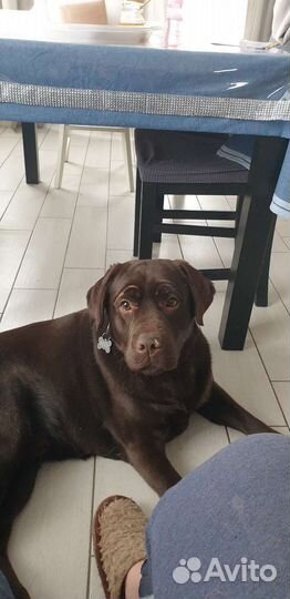 Вязка кабеля