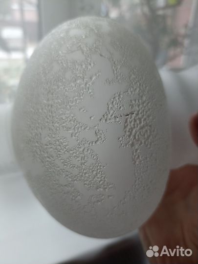 Плафоны стекло времён СССР