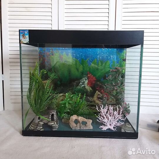 Аквариум