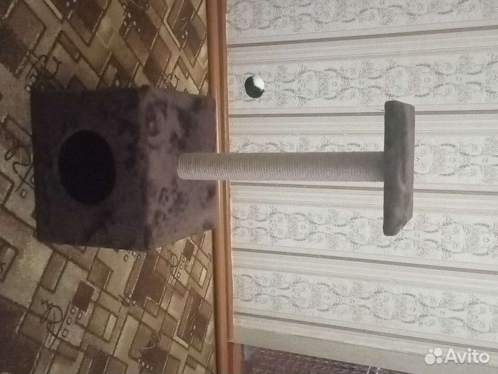 Домик для котов