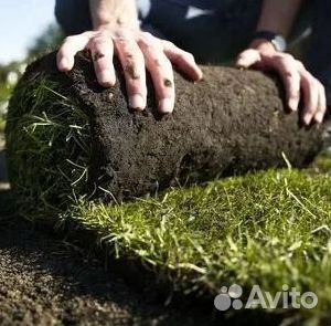 Гидропосев