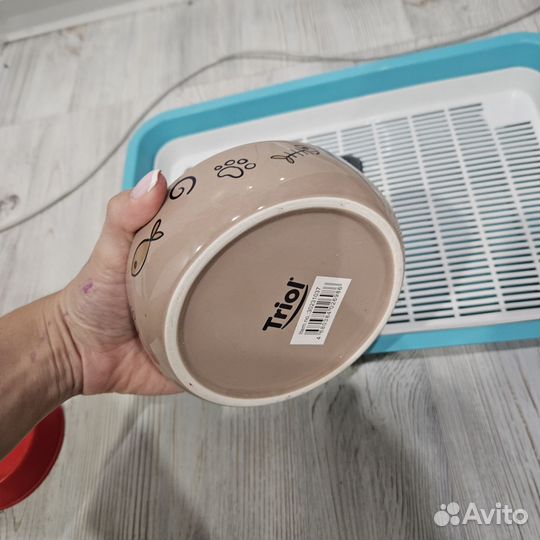 Товары для кошек