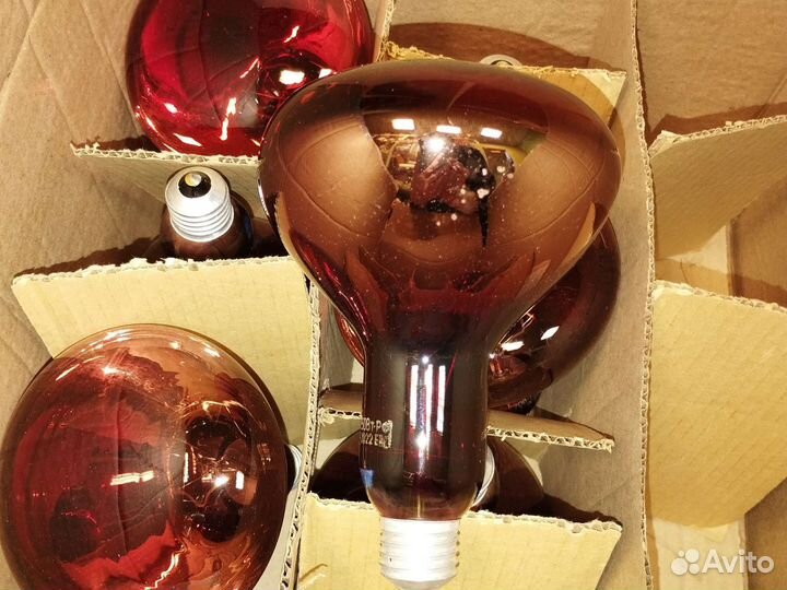 Лампа накаливания красная греющая