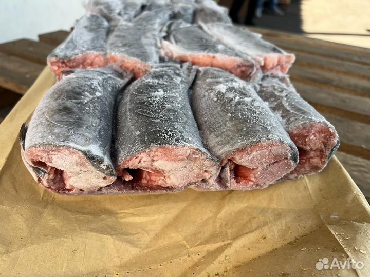 Рыба свежемороженая тихоокеанская 2023 Оптом