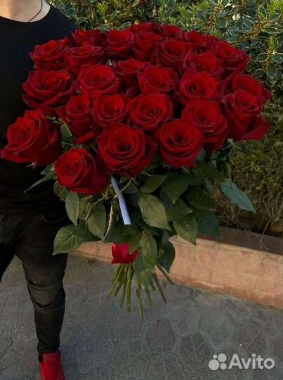 Розы Цветы Букеты 25 51 151 201 101 301 501 опт