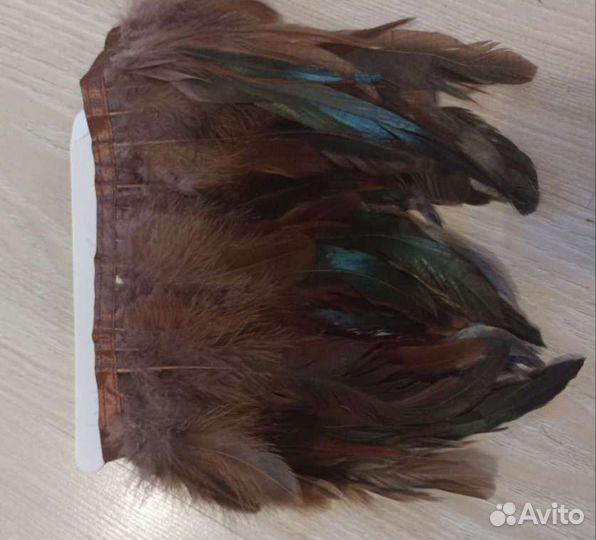 Перо на ленте