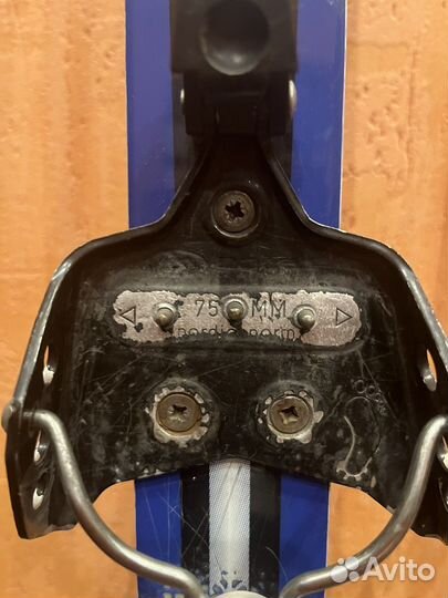 Беговые лыжи