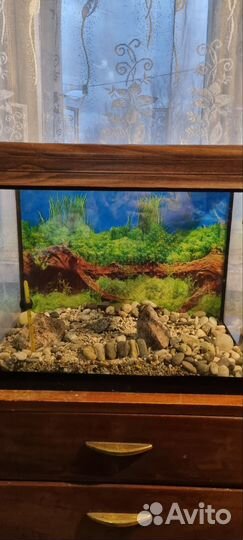 Аквариум 33 литра