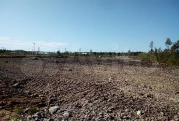 Участок 26,25 га (промназначения)