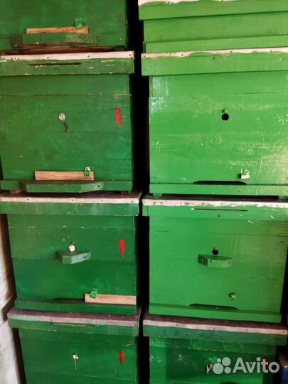 Улей для пчел