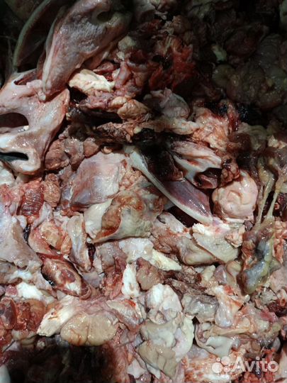 Обрезь говяжья