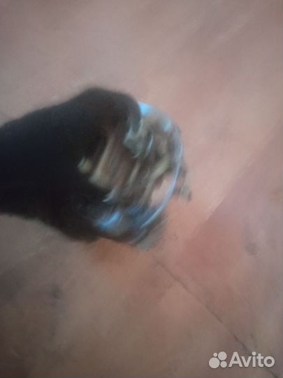 Карбюратор СССР к 135