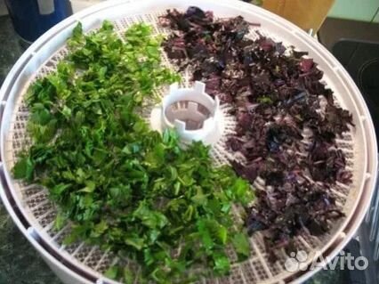 Базелик сушеный