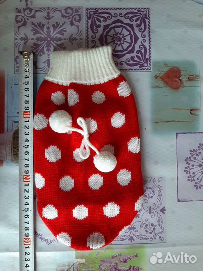 Одежда для животных