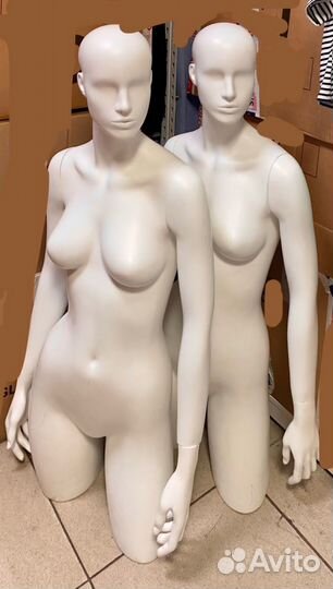 Продам Маникен торс