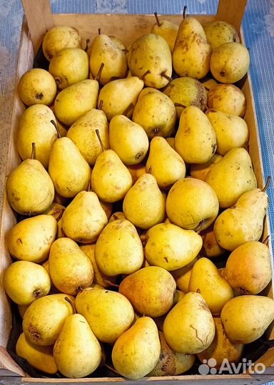 Груши