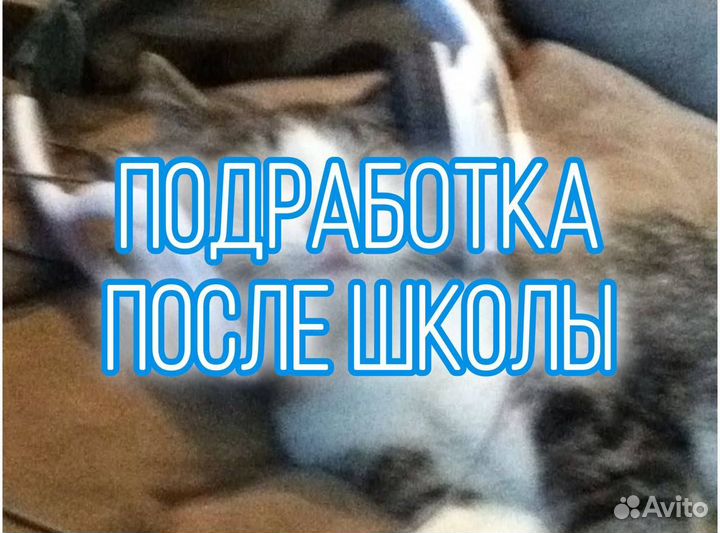 Подработка промоутер, с 14 лет без опыта
