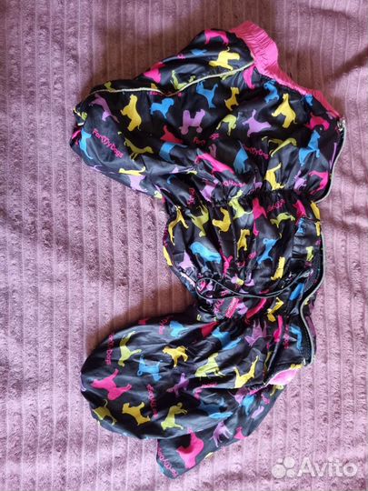 Одежда для собак