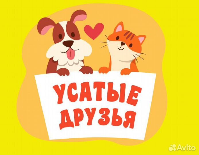 Продавец - администратор в зоомагазин