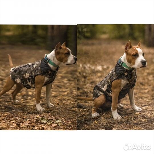 Попона для собак комбинезон, новые
