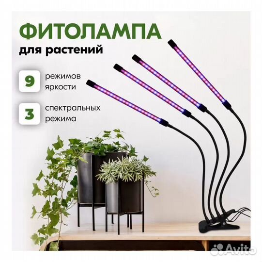 Фитолампа для растений