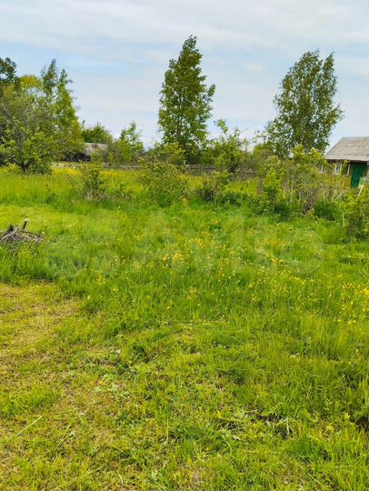 Участок 4,8 сот. (СНТ, ДНП)
