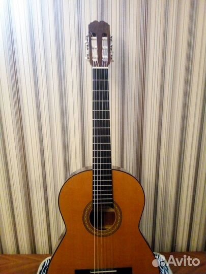 Гитара М.Родригес.Фендер.Гибсон