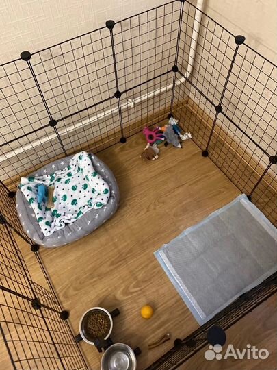 Клетка вольер для собак