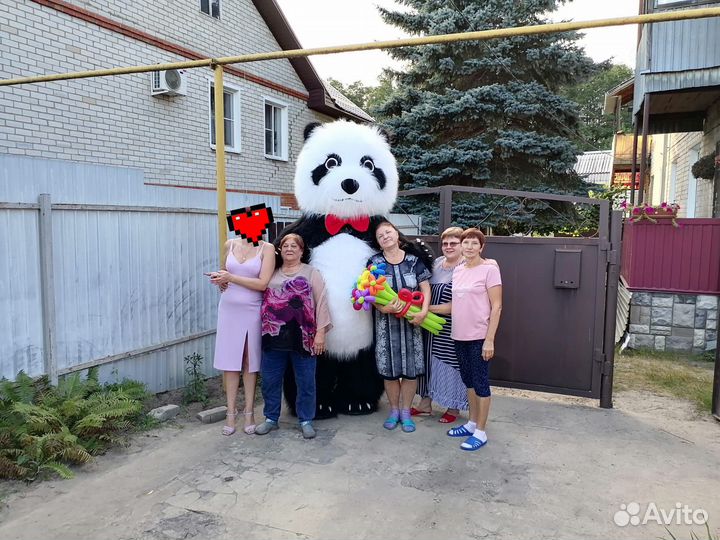 Аниматор, ростовая кукла Панда