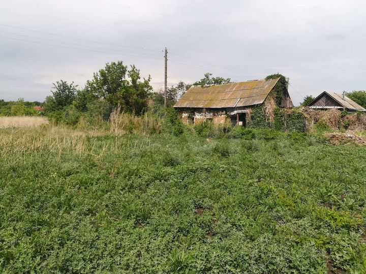 Участок 43,6 сот. (СНТ, ДНП)