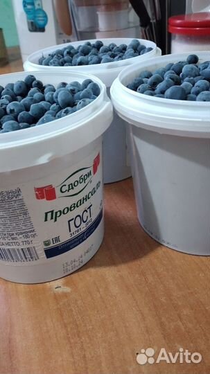 Клюква свежая