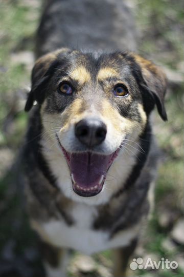 Молодая, ласковая и очень нежная девочка