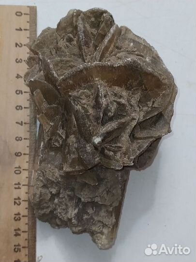 Гипсовая роза