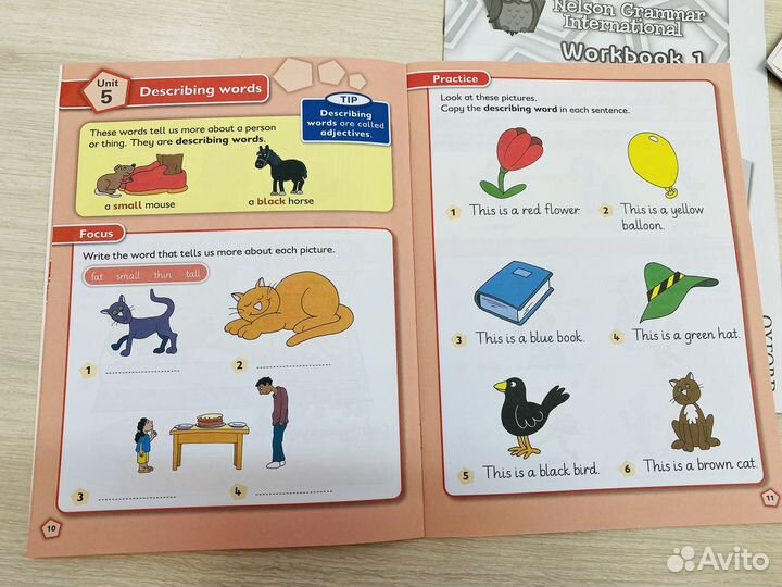 Nelson grammar international 1