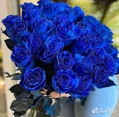 Синие розы. Букеты Цветы доставка