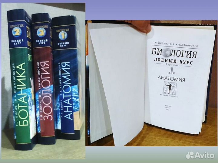 Биология Полный курс 3 тома Билич Крыжановский