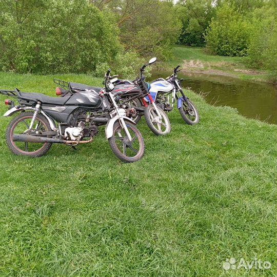 Продам орион грифон
